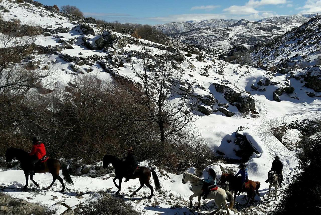 בית הארחה Navacepeda de Tormes 	La Pasailla De Gredos מראה חיצוני תמונה